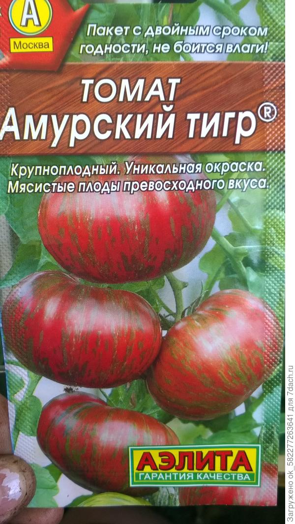 Томат амурский тигр .посев 18.03.18(16семян)