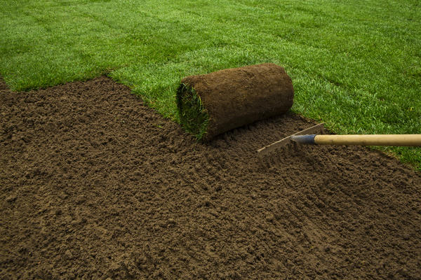 При подготовке участка под газон нужно получить плодородный слой грунта толщиной 10 см, тщательно очищенный от мусора, сорняков, растительных остатков и корневищ
