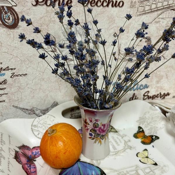 Тыква &amp;quot;Большой Макс уже не тот&amp;quot; - 2024-го года выпуска