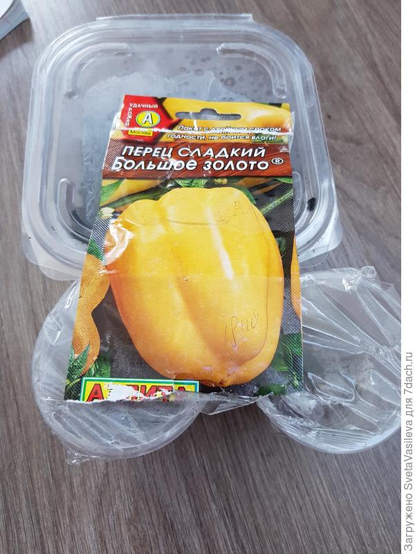 Накрываем пленкой и в теплое место