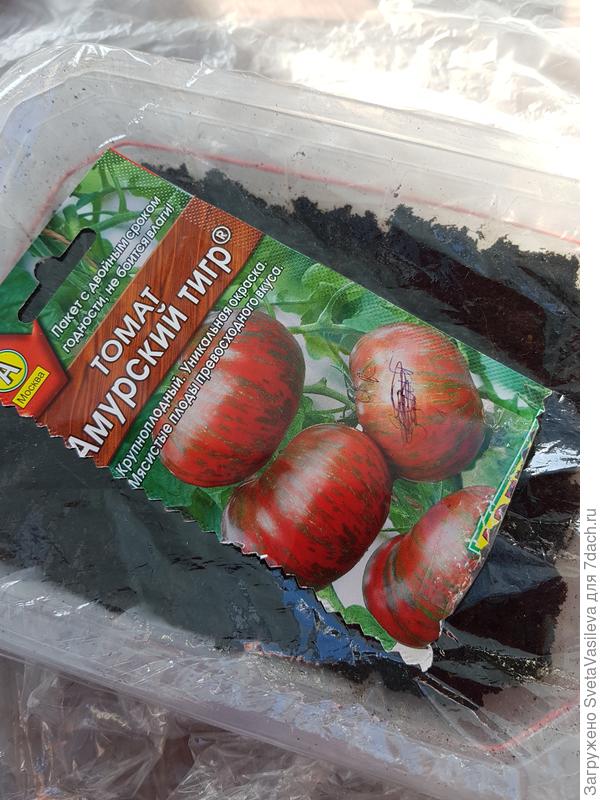 Накрываем пленкой