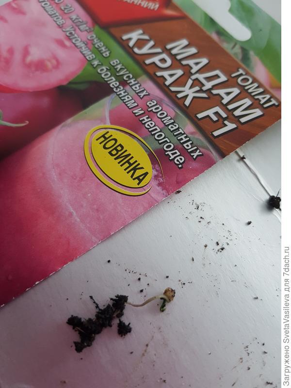 Один засох.