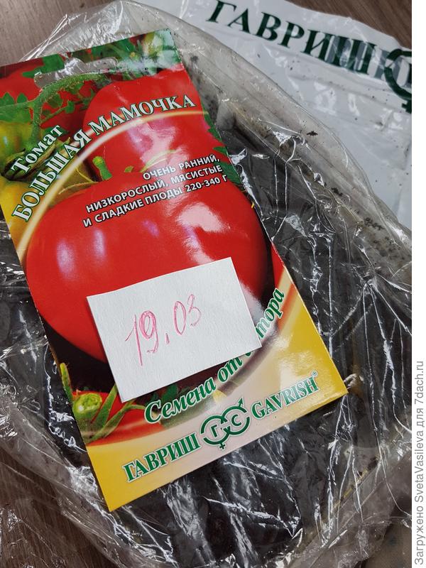 Накрываем пленкой и в теплое место