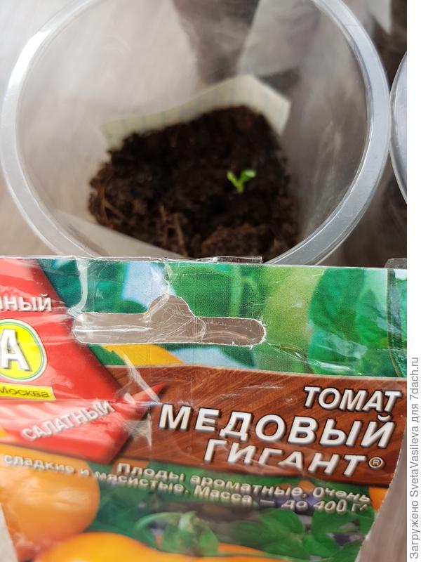 Очень маленький был удален