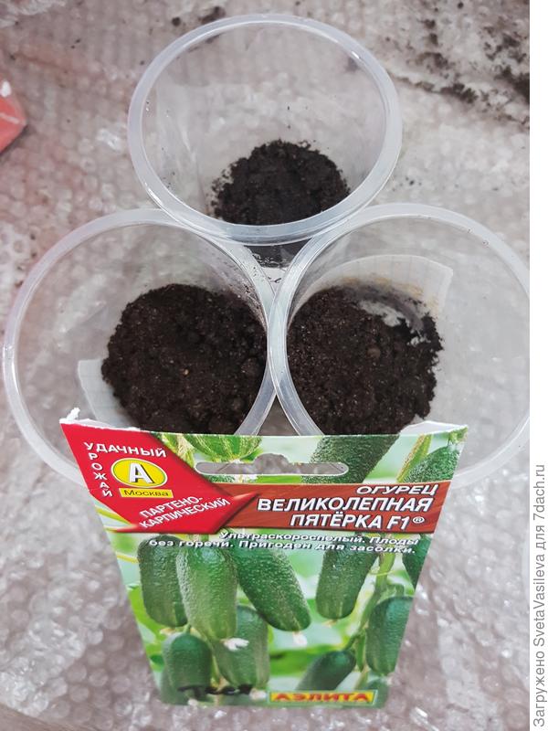 Сверху насыпаем грунт