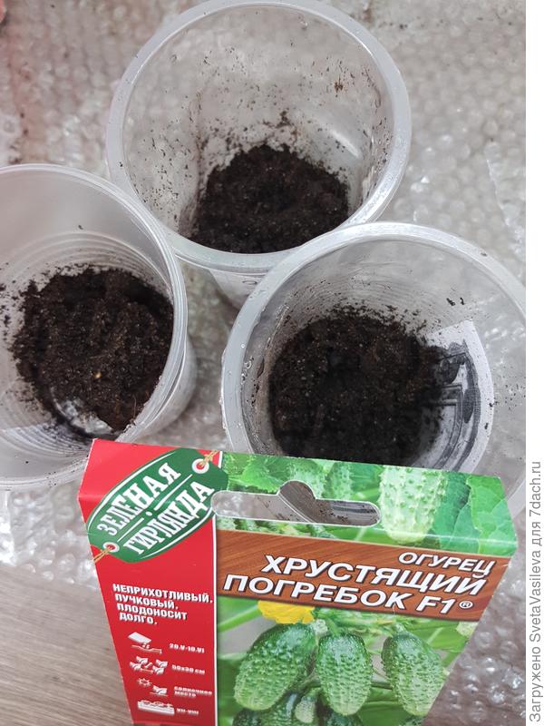 Засыпается сверху грунтом