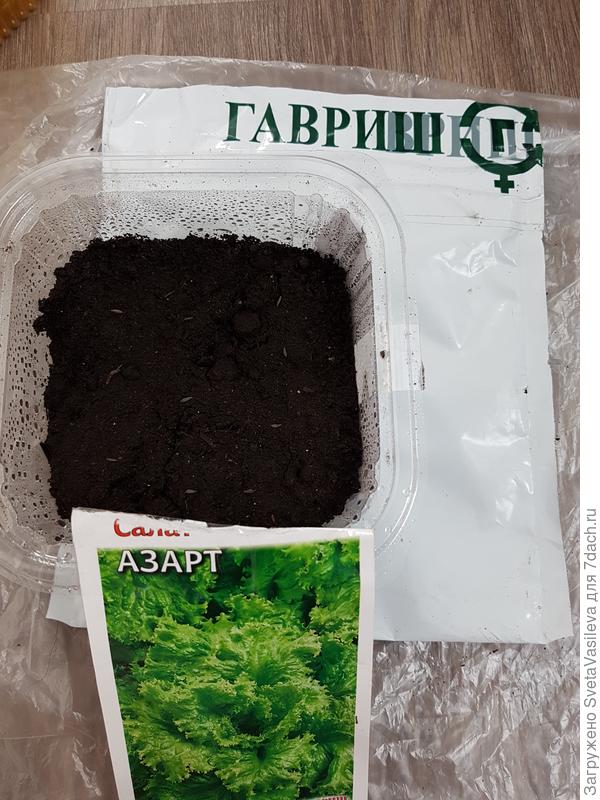 Посев в грунт