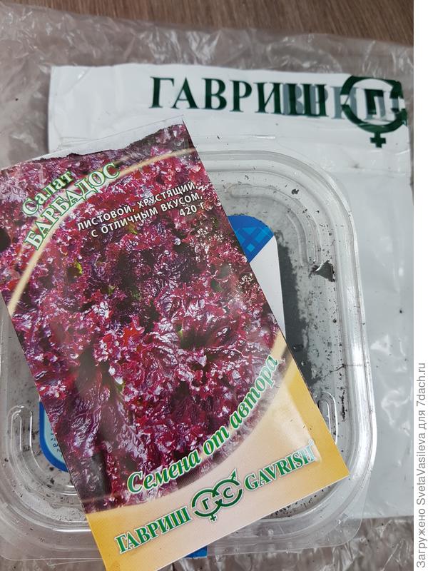 Накрываем крышкой для парникового эффекта