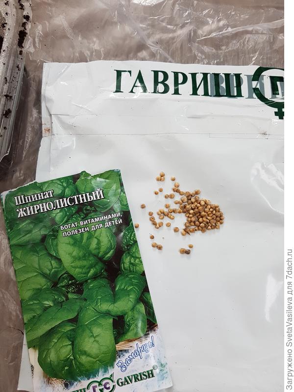 Подсчет семян