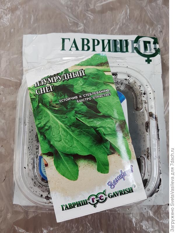 Накрываем крышкой