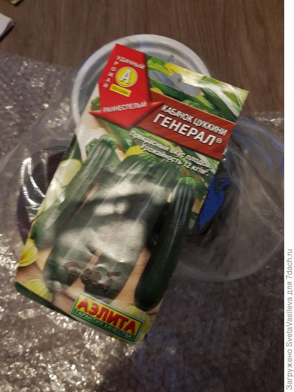 Насыпаем землей и накрываем пленкой