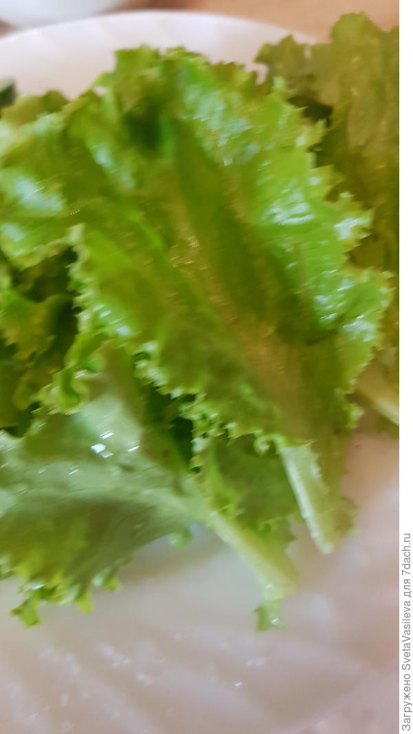 Сбор урожая