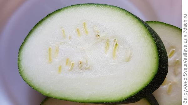 Кабачок в разрезе