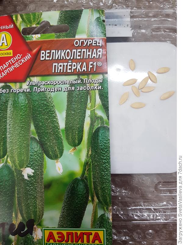 Семена