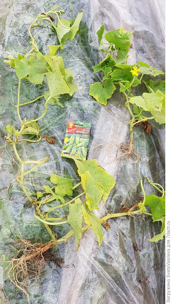 Удаление с грунта