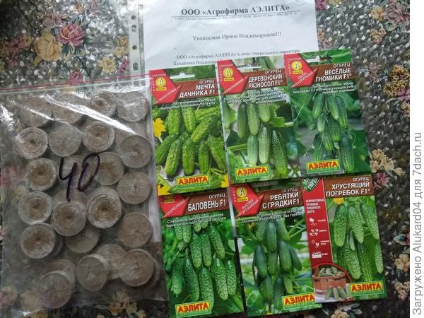 огурцы