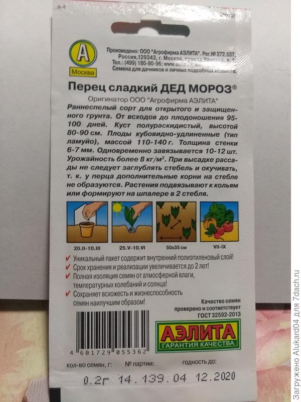 перец сладкий Дед Мороз