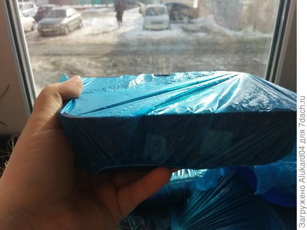 рассада на проращивании