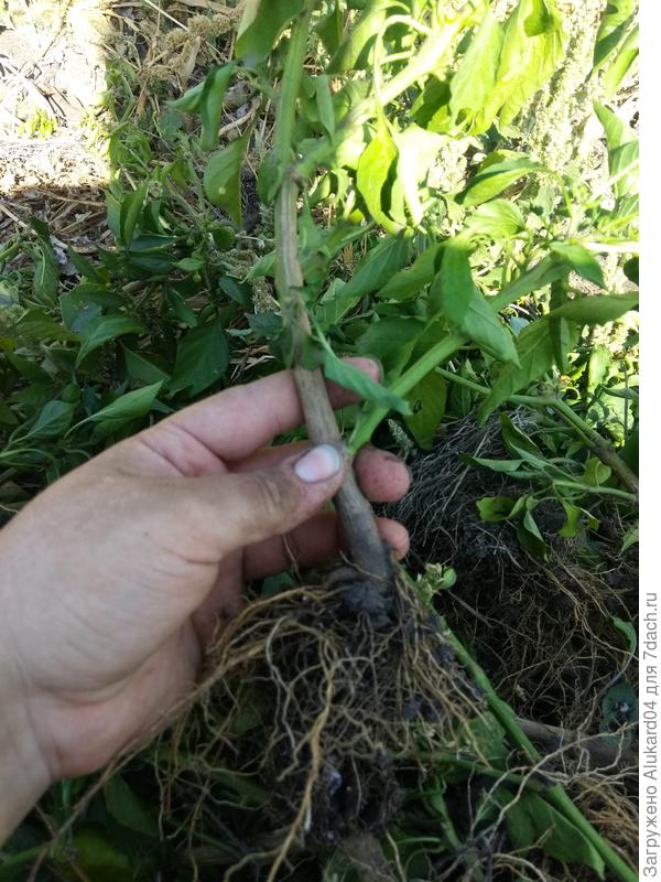 пора прощаться