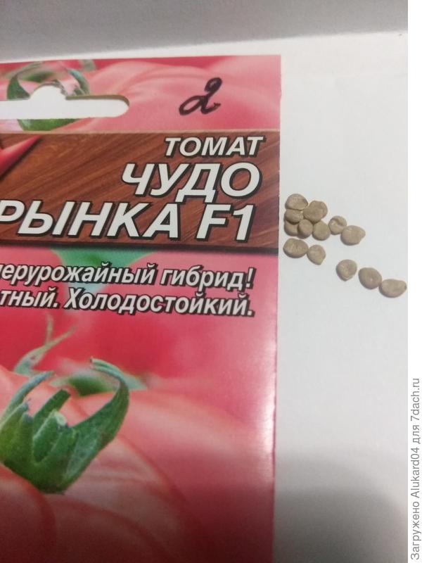 семена