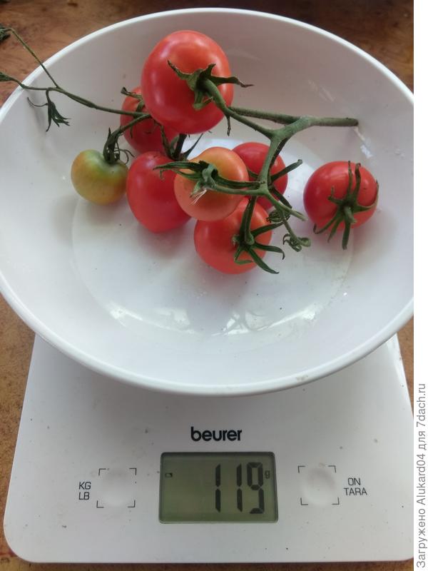 19.08