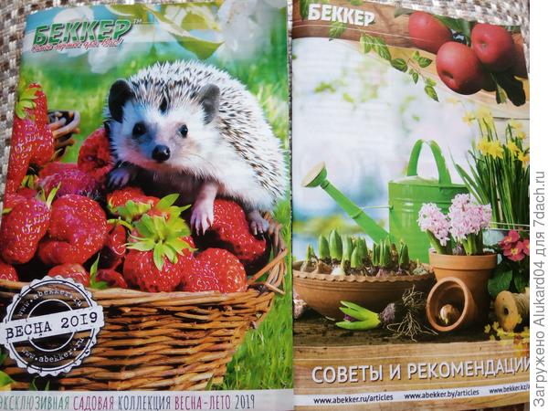 каталог и советы и рекомендации