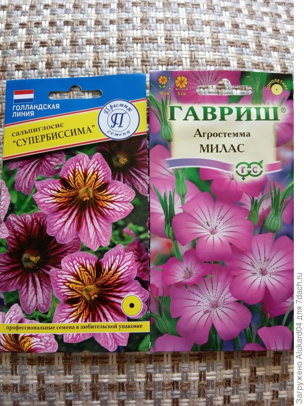 Цветочки