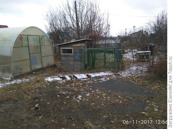 Вид на малинник (2)