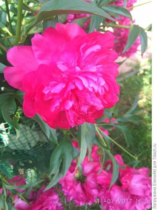 без названия