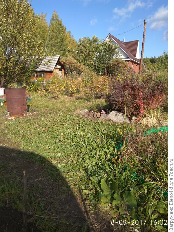 От теплицы (6)