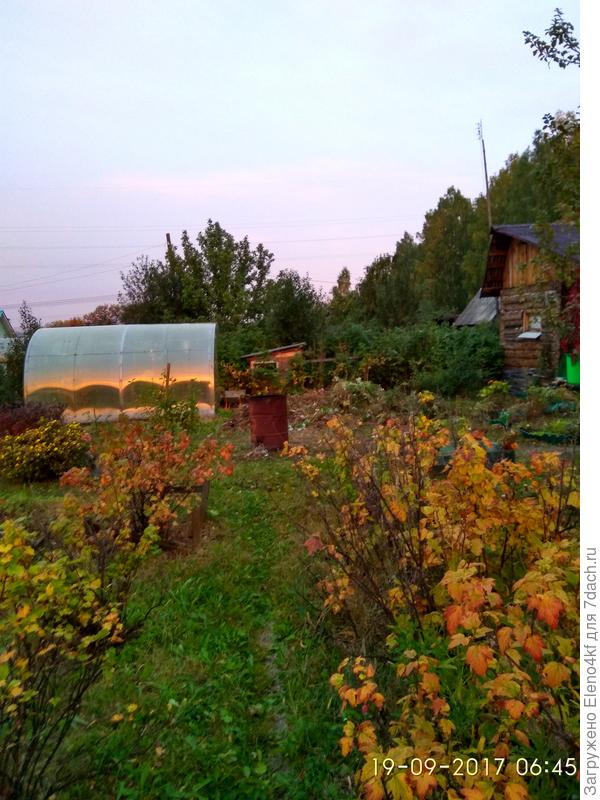 От деревянной дорожки (5)