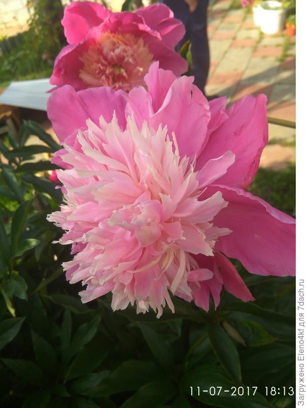 без названия