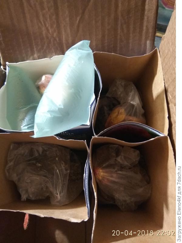 и в коробках тоже пакеты