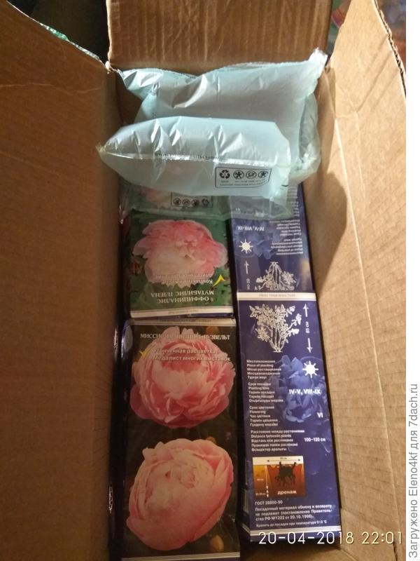 второй слой