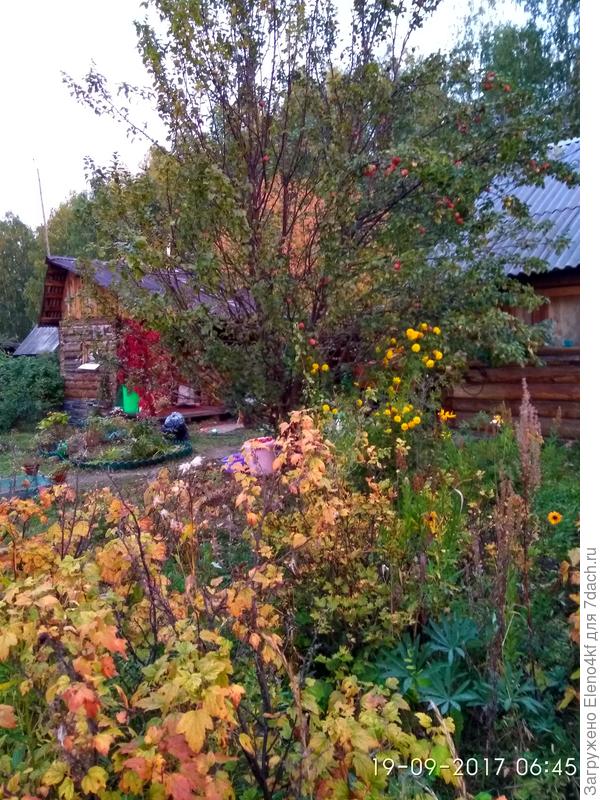 в прошлом году