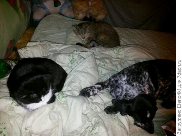 Вместе с Тимошей