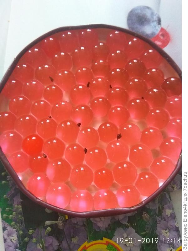 "мокрый" гидрогель