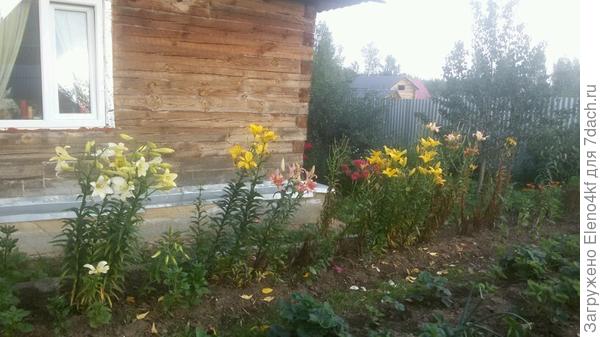 Это так, для примера высоты.