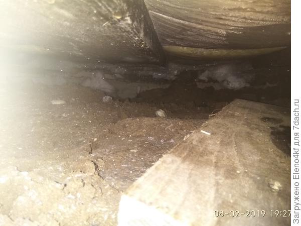 Вот, вставила!