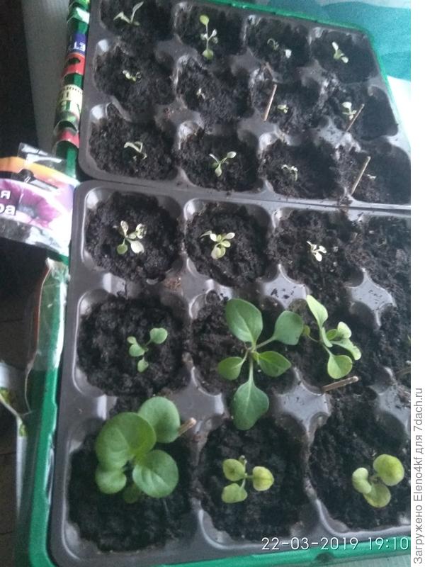 Тут хорошие видны.