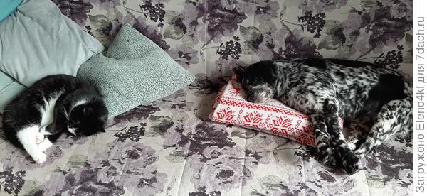 Лада с Тимой