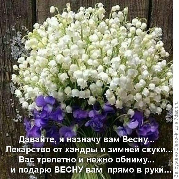 Весна в подарок