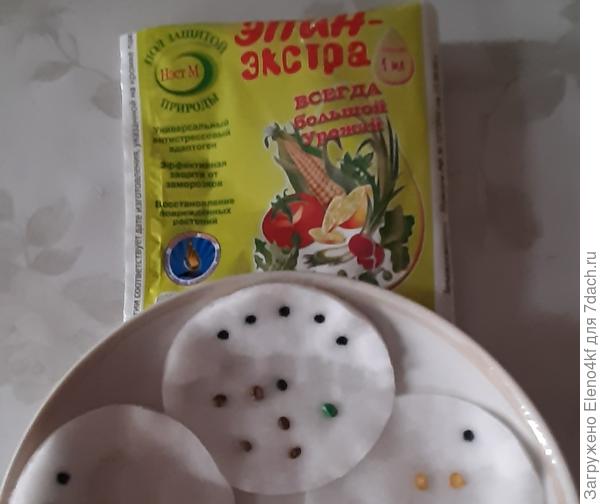 Замачивание семян