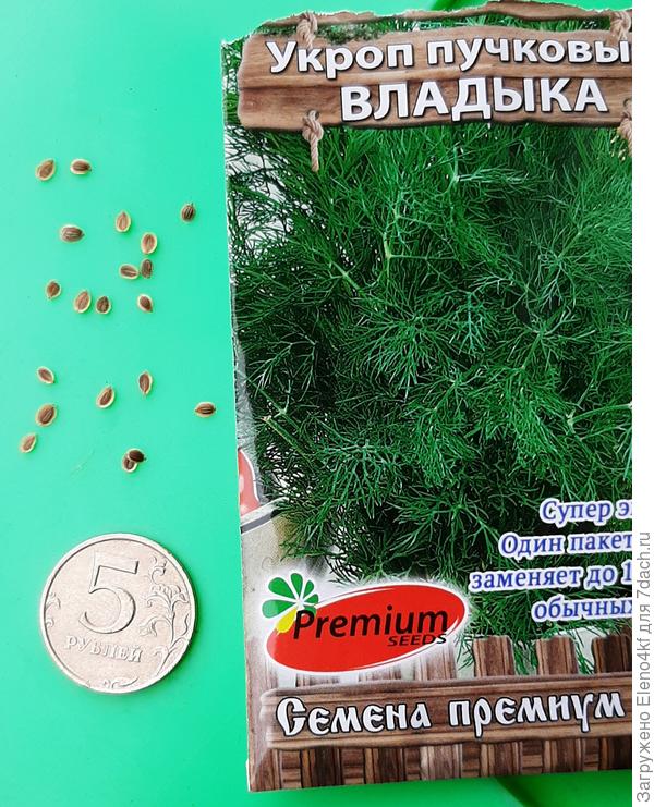Укроп
