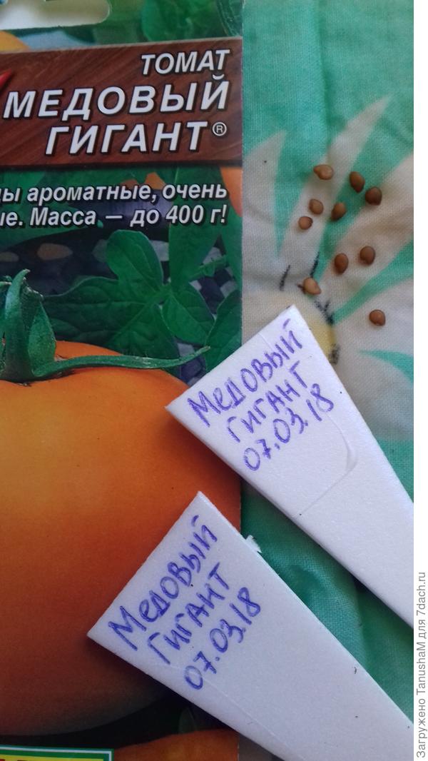 Приготовились к посеву