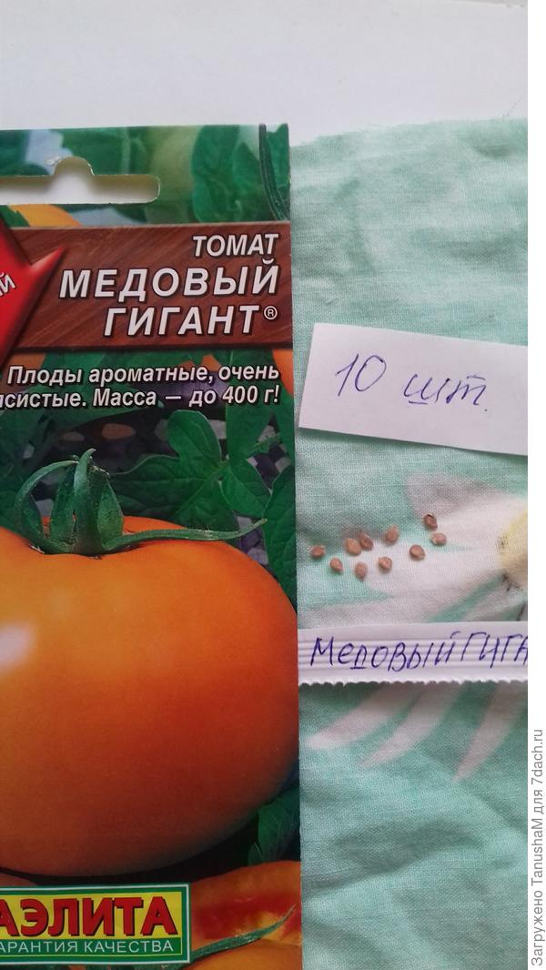 Томат