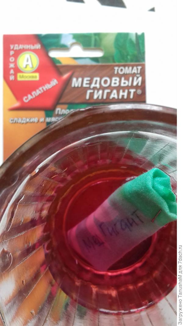 Обеззараживание в марганцовке 20 мин