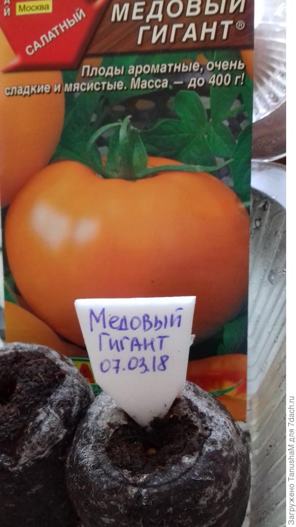 Томат
