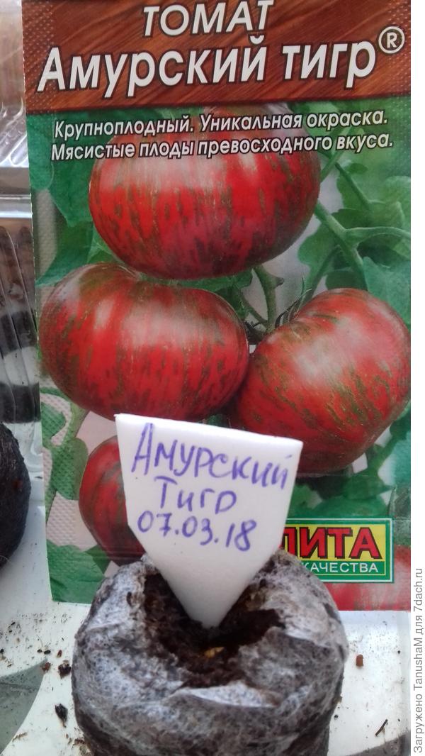 Томат