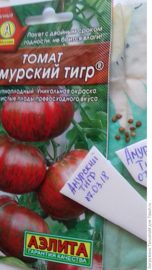Томат